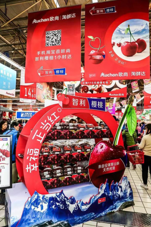 智利樱桃与欧尚、淘鲜达三方携手，线上线下共同服务中国消费者