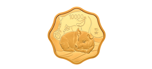 九问2019中国己亥（猪）年金银纪念币