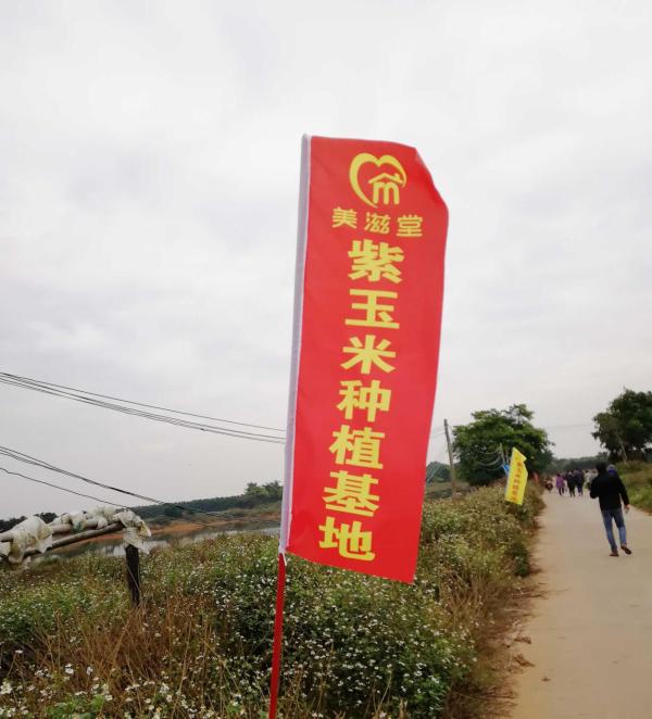 扎根农村干革命，美滋堂创新产业扶贫新模式