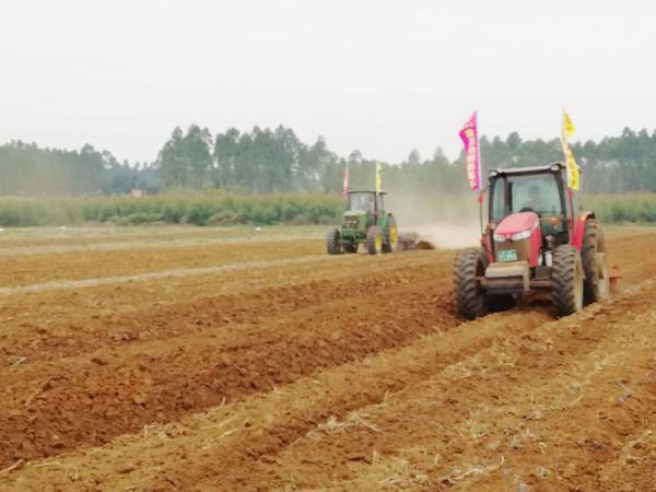 扎根农村干革命，美滋堂创新产业扶贫新模式