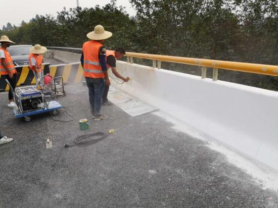 劳斯漆为广佛肇高速公路、佛山一环改造等披上防护衣