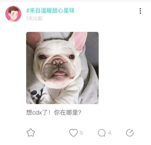 堪比密码的黑话，不能成为寻找Soul mate的障碍