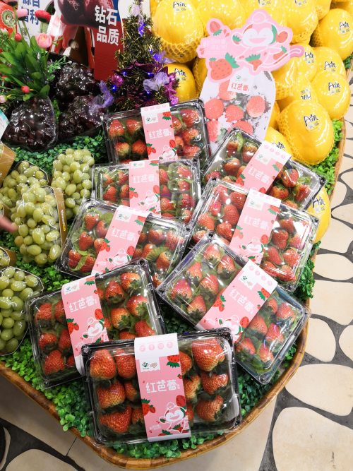 招牌“红芭蕾”草莓鲜甜上市 百果园门店独家销售