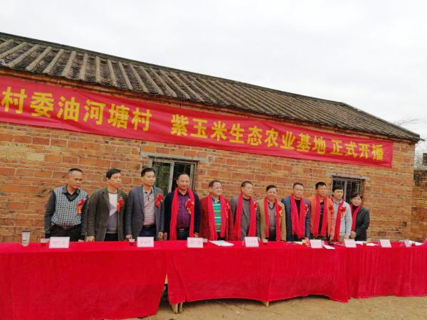 扎根农村干革命，美滋堂创新产业扶贫新模式