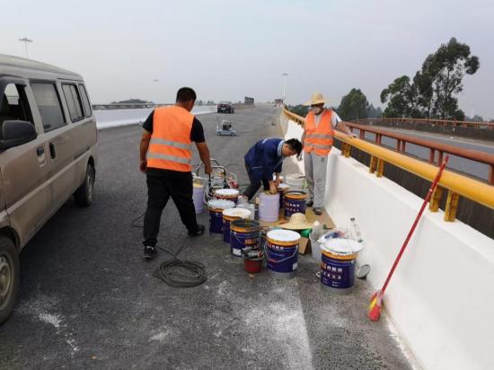 劳斯漆为广佛肇高速公路、佛山一环改造等披上防护衣