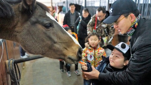 美国加州葡萄干为你开启甜蜜新年趴