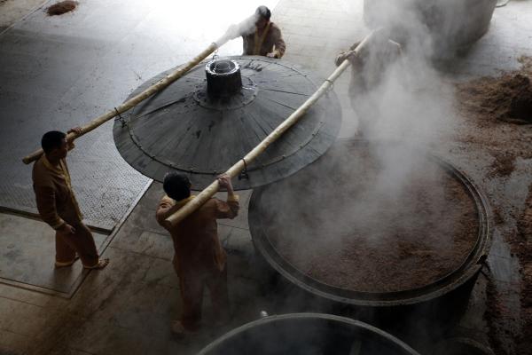 一口晶猪一口金狮，让你梦回六百年