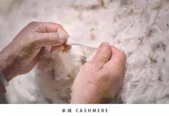 印象草原科普羊绒秘籍,这篇一定要收藏起来