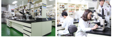 婵真DR.FROG：最善配药的会长，最懂生意的药剂师