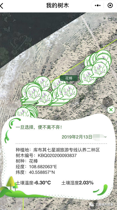 蚂蚁森林的沙棘只能满足TA的胃，亿森林情人节专属花棒却可撩动TA的心