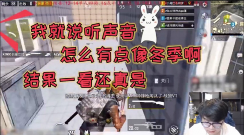 刺激战场冬季“带妹”入主播圈 妹妹的高水平或能超越冬季？