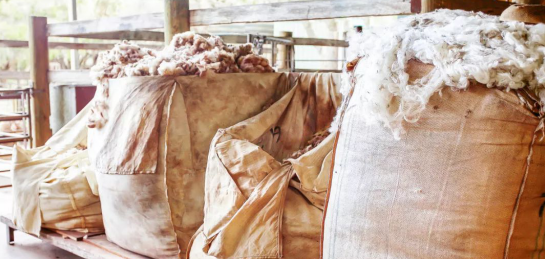 印象草原科普羊绒秘籍,这篇一定要收藏起来