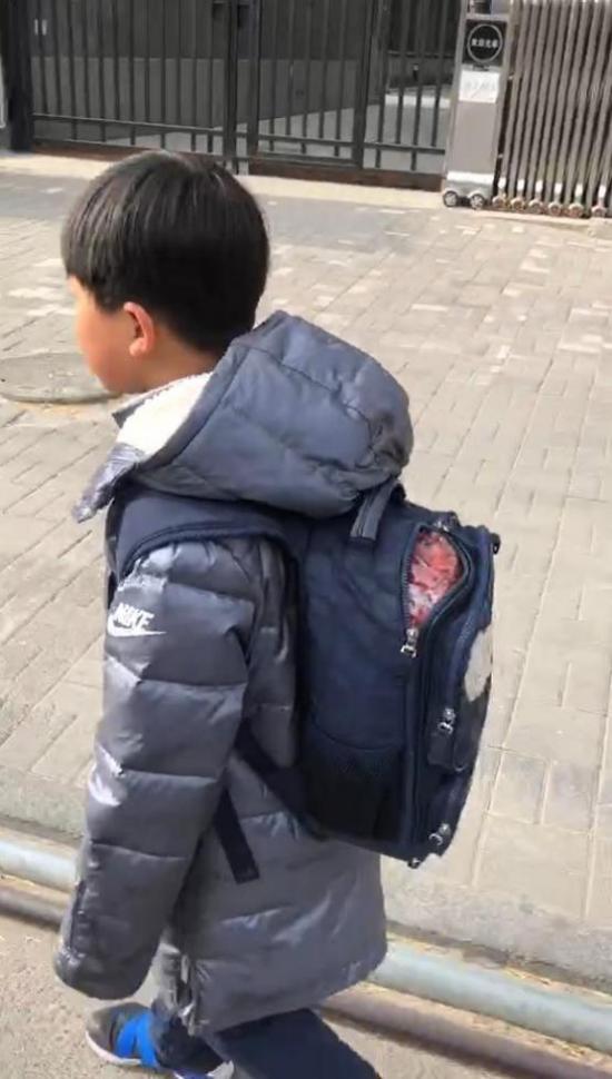 社会我枸杞娃!小学生开学第一天背5斤枸杞上学走红