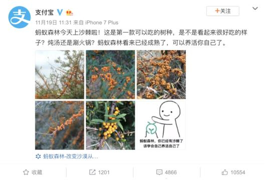 蚂蚁森林的沙棘只能满足TA的胃，亿森林情人节专属花棒却可撩动TA的心