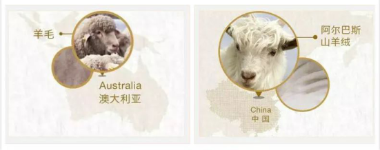 印象草原科普羊绒秘籍,这篇一定要收藏起来