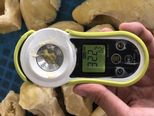 被无数美食达人追捧的榴莲千层，榴莲果肉再加量30%不加价