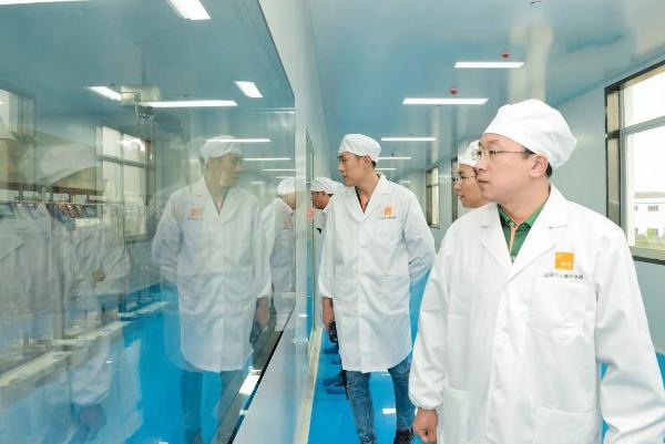 欧标抹茶 | 这里为何被称为“世界抹茶超级工厂”？