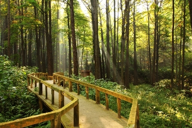 山马系列赛带你认识避暑胜地鸡公山