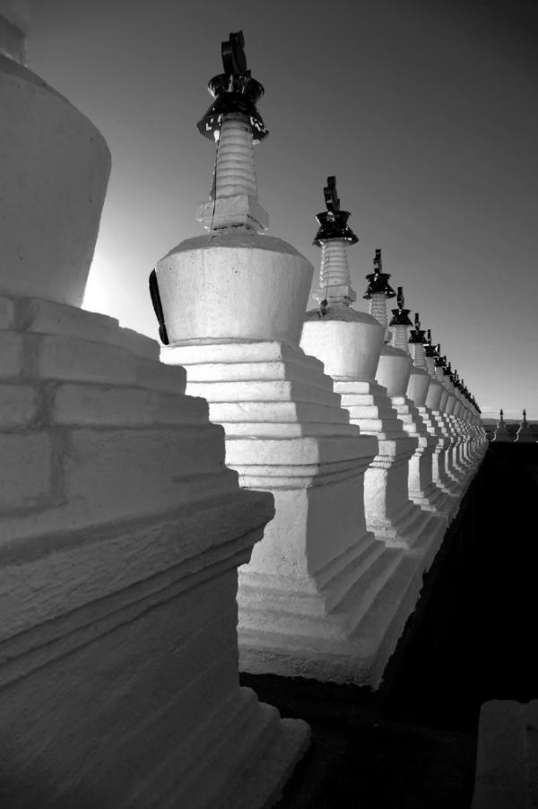 第3001座古塔——杨晓利