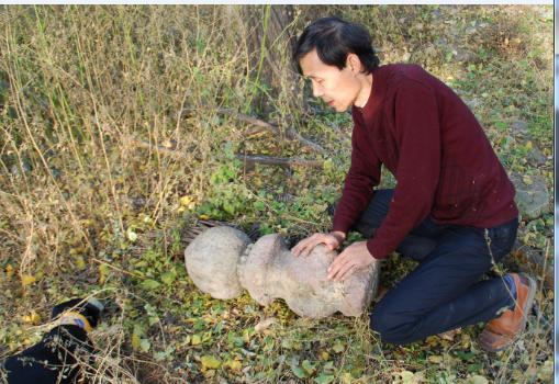 第3001座古塔——杨晓利