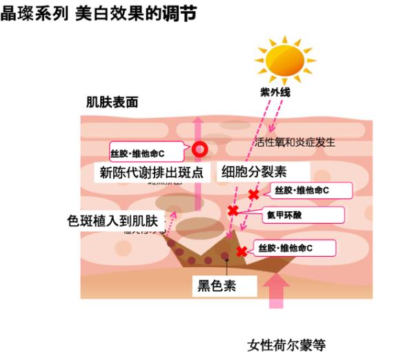 来自日本的百年护肤秘密，comoace科美爱丝让丝胶展现卓越美肌力。