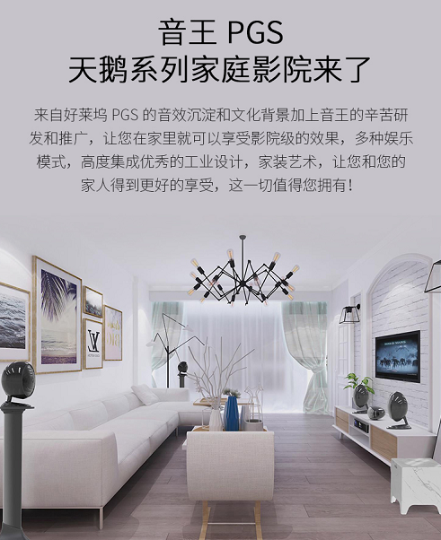 家庭娱乐“黑科技” 音王PGS天鹅系列家庭影院即将上线苏宁众筹