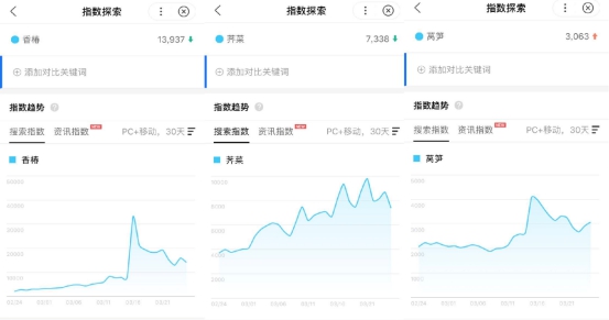 原来最喜欢看樱花的竟然不是小姑娘？男生比女生更爱花
