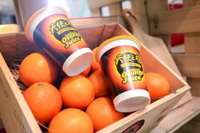 全球严选当季鲜橙，天使之橙如何用优质鲜橙榨出好橙汁