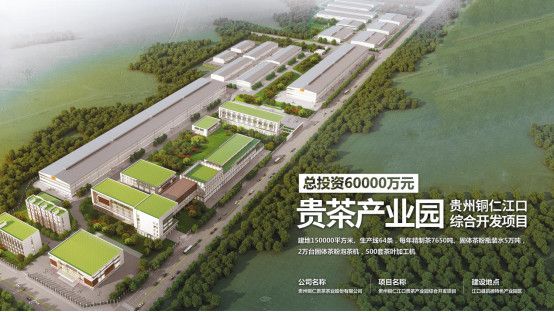 欧标抹茶 | 这里为何被称为“世界抹茶超级工厂”？