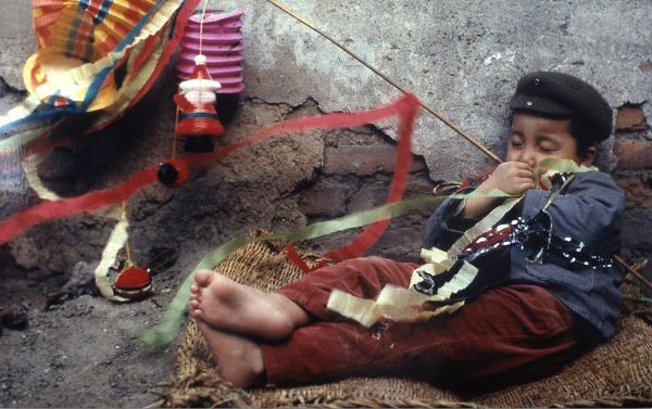 第3001座古塔——杨晓利