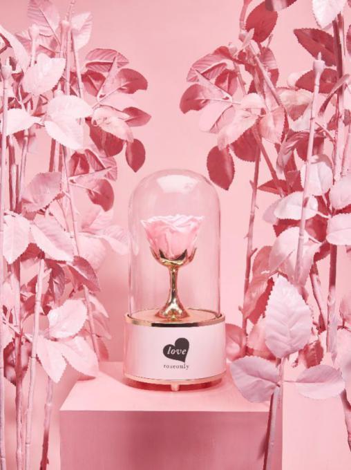 roseonly浪漫延续，惊喜不断