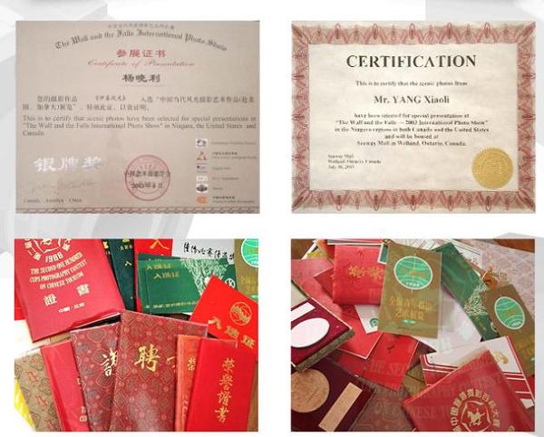 第3001座古塔——杨晓利