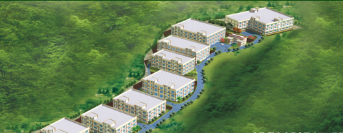 名佑中国好培根携手影视巨星海清，正式拉开品牌升级序幕