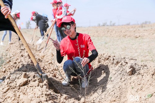 世界地球日：贝店携手中国绿化基金会共建希望森林