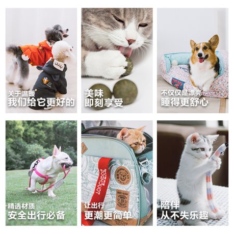 畅销15年的国货潮牌，Touchdog它它即将登陆它品！