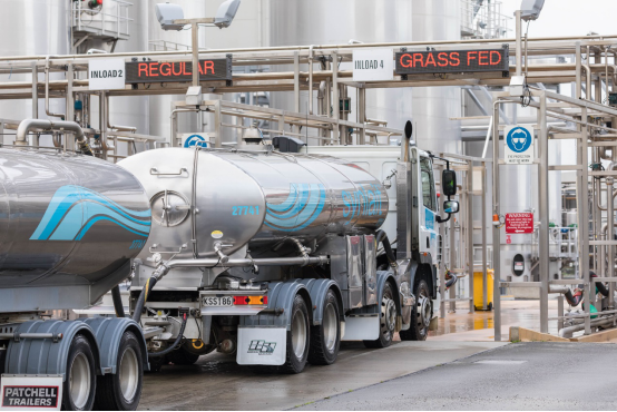 澳洲奶粉品牌这么多，满趣健草饲奶粉不能错过