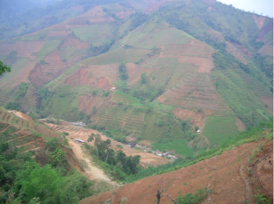 植物医生公益示范地 被列入联合国大会考察地点
