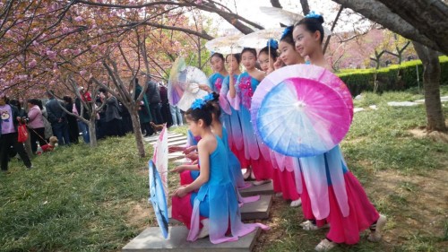 “第五届中国鹤壁樱花文化节”开幕