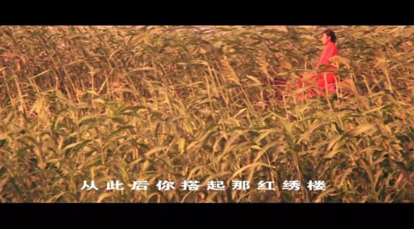 4k/48帧版《红高粱》亮相北影节 帧彩再次参与修复展映影片