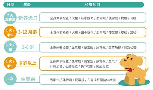 用爱相守，宠物健康“防”出来！