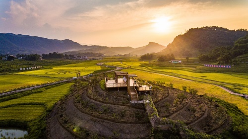 五粮液：汇聚“五”之精华，酿造传世美酒