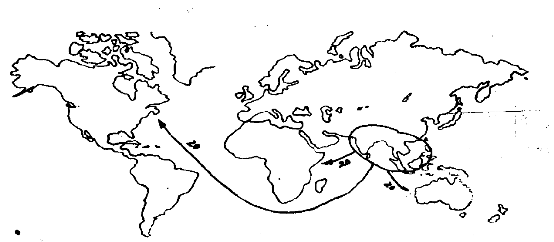 由柑柠檬茶：生津解渴好滋味，清新怡人一夏天
