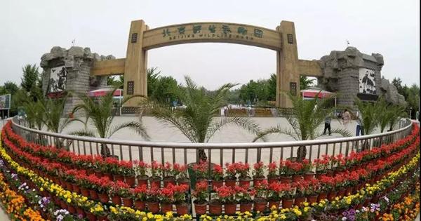 这个春天你还可以这样过……