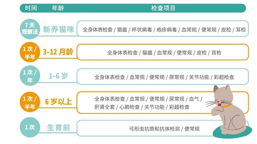 用爱相守，宠物健康“防”出来！