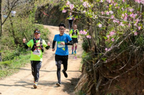官方发布 | 2019中国山地马拉松系列赛-信阳鸡公山站圆满举行