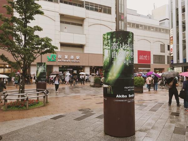 植物医生日本首店今开业 解勇：现在是开拓海外市场的更好时机