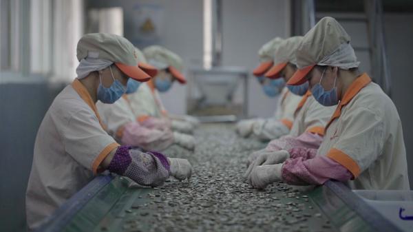 一颗瓜子怎样做“高端”？透视良品铺子的供应链升级