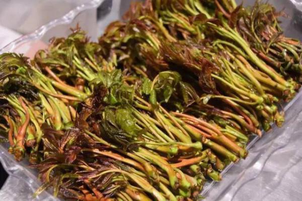 西贝莜面村春季爆品再现身 “香椿莜面”混搭美味