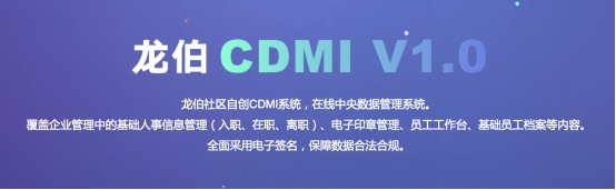 龙伯科技发布企业在线管理CDMI系统v1.0