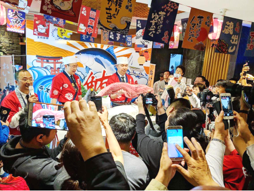 140斤蓝鳍金枪鱼解体秀震撼上演！这么新鲜的鱼你吃过吗？